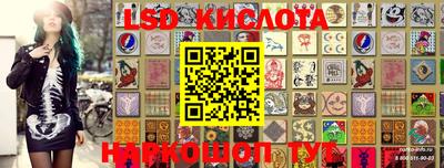 apvp Канаш