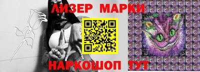 apvp Канаш