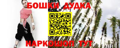прущие грибы Камышлов