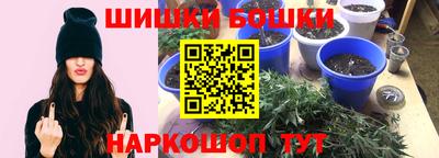 jwh Кандалакша