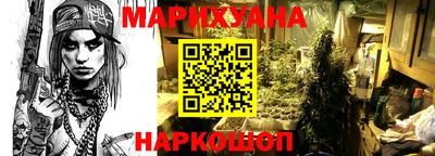 apvp Канаш