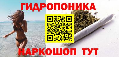 прущие грибы Камышлов