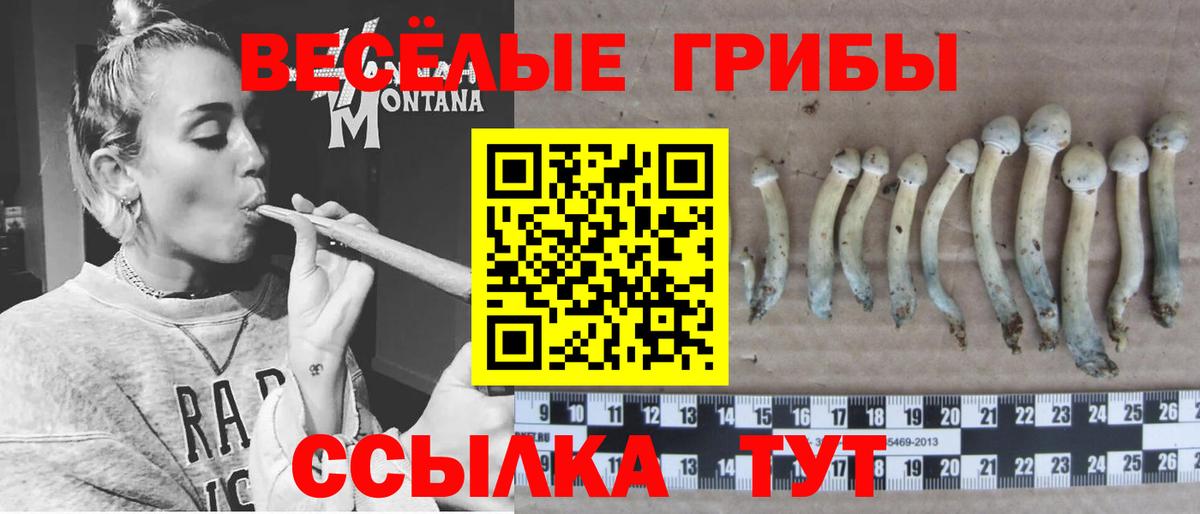 Псилоцибиновые грибы ЛСД Краснокамск